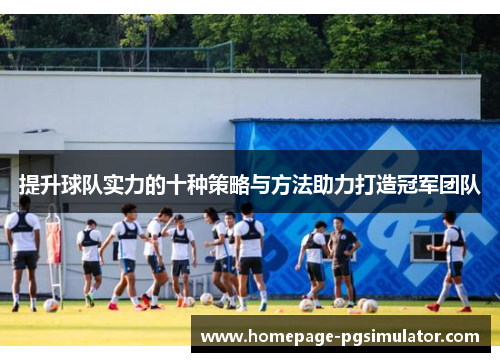 提升球队实力的十种策略与方法助力打造冠军团队