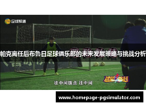 帕克离任后布鲁日足球俱乐部的未来发展策略与挑战分析