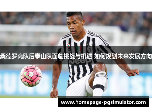 桑德罗离队后泰山队面临挑战与机遇 如何规划未来发展方向