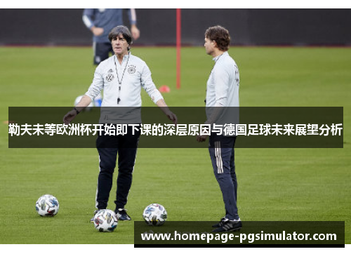 勒夫未等欧洲杯开始即下课的深层原因与德国足球未来展望分析