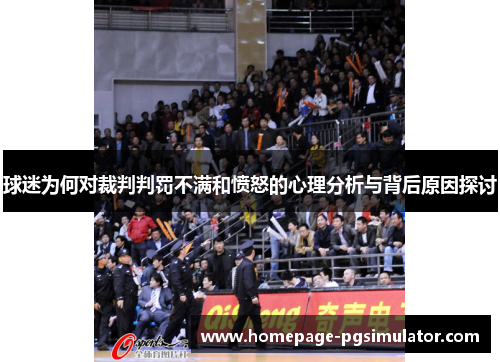 球迷为何对裁判判罚不满和愤怒的心理分析与背后原因探讨
