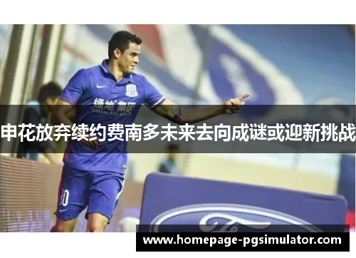 申花放弃续约费南多未来去向成谜或迎新挑战