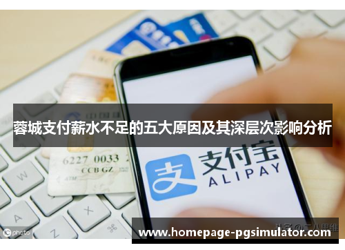 蓉城支付薪水不足的五大原因及其深层次影响分析