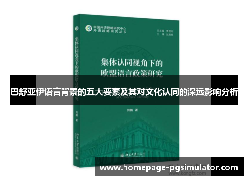 巴舒亚伊语言背景的五大要素及其对文化认同的深远影响分析