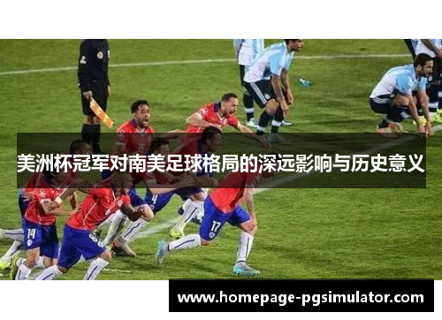 美洲杯冠军对南美足球格局的深远影响与历史意义