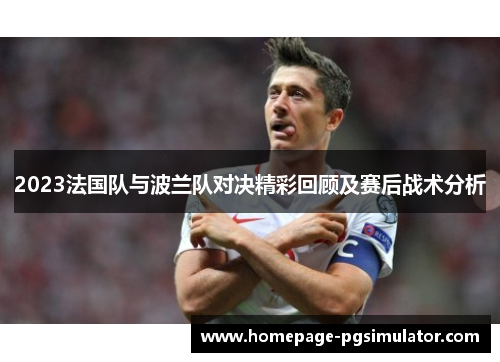 2023法国队与波兰队对决精彩回顾及赛后战术分析