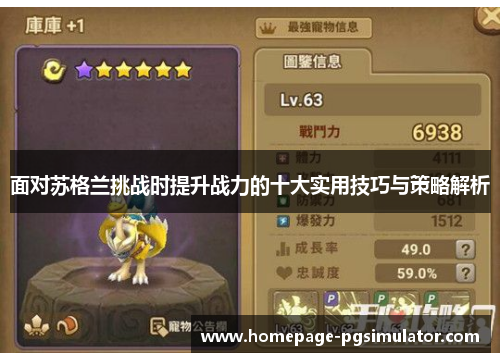 面对苏格兰挑战时提升战力的十大实用技巧与策略解析