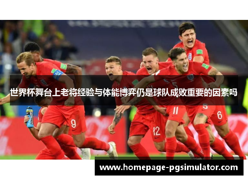 世界杯舞台上老将经验与体能博弈仍是球队成败重要的因素吗