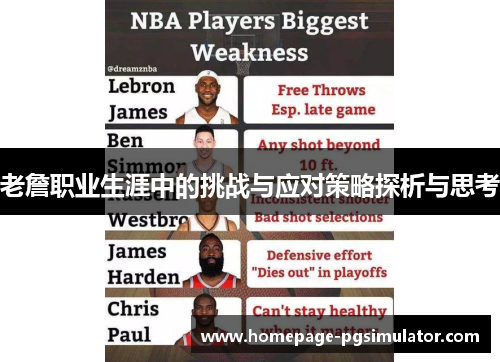 老詹职业生涯中的挑战与应对策略探析与思考