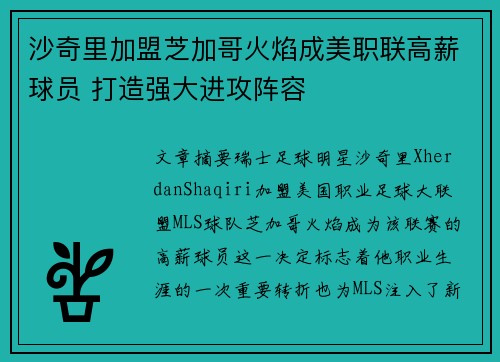 沙奇里加盟芝加哥火焰成美职联高薪球员 打造强大进攻阵容